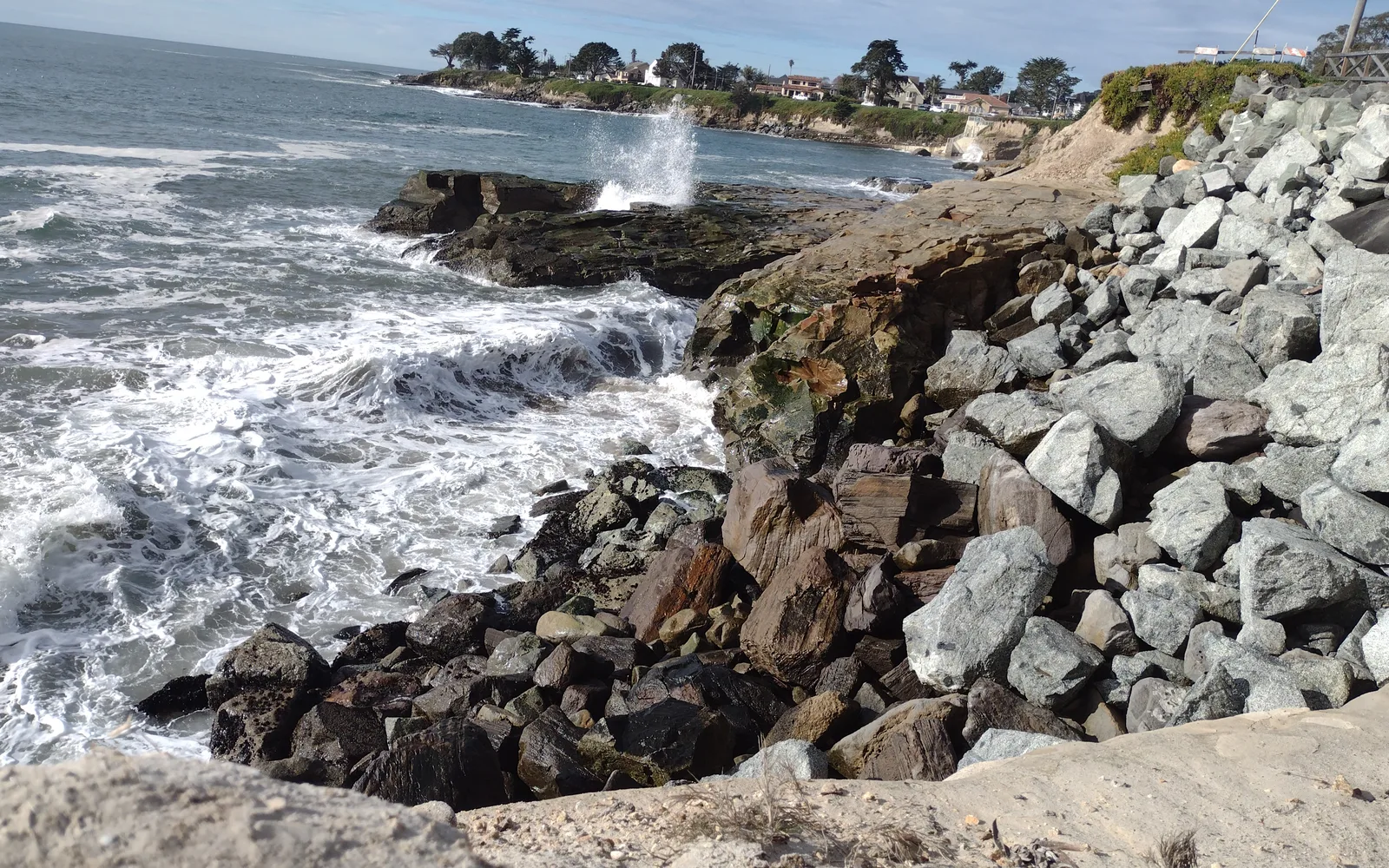 Mitchell Cove in Santa Cruz, showing the coastal landscape and ocean